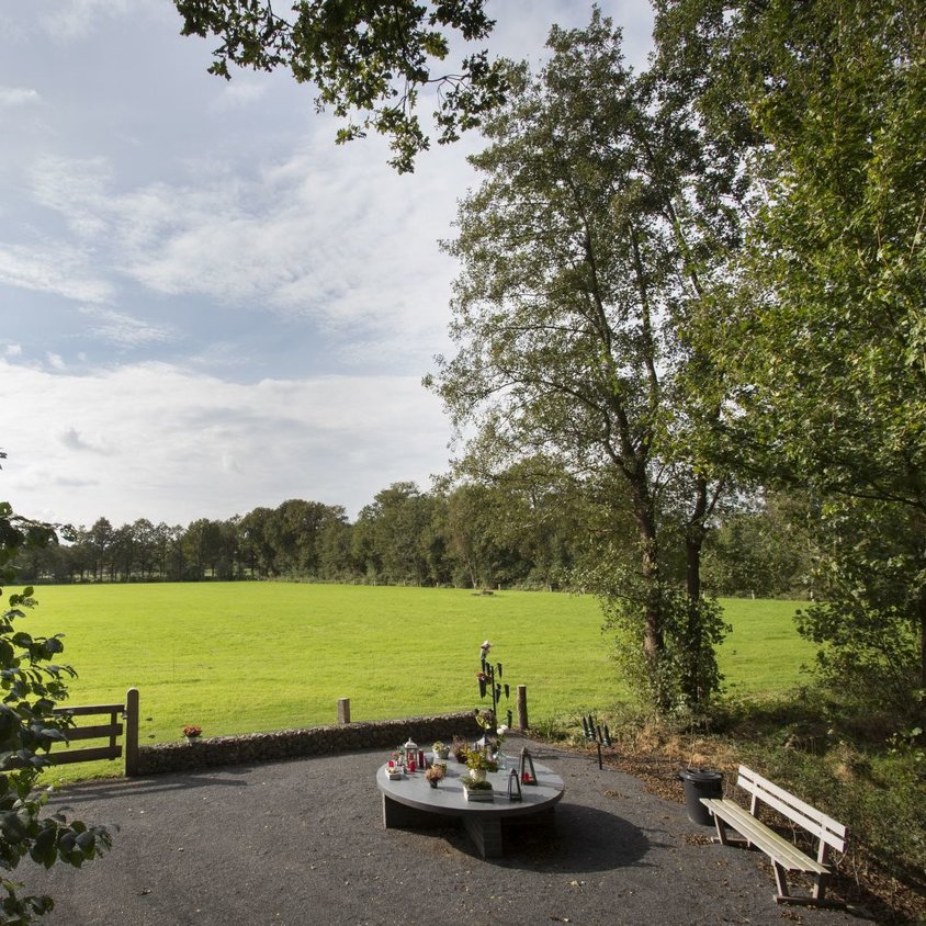 Bloemenplateau en bankje bij strooiveld Wissinksweide