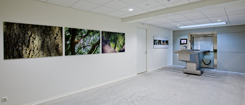 Crematieruimte in Borne