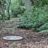 Strooiveld Enschede Het Elsenbos