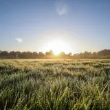 Strooiveld Borne 't Dreteler 