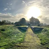 Strooiveld Borne De Scheg